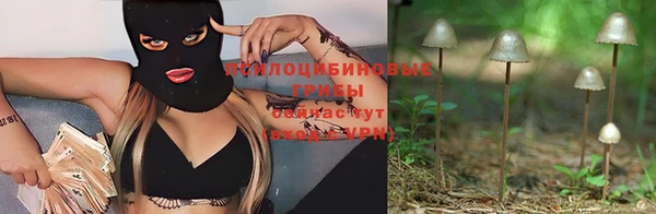 марки lsd Осташков