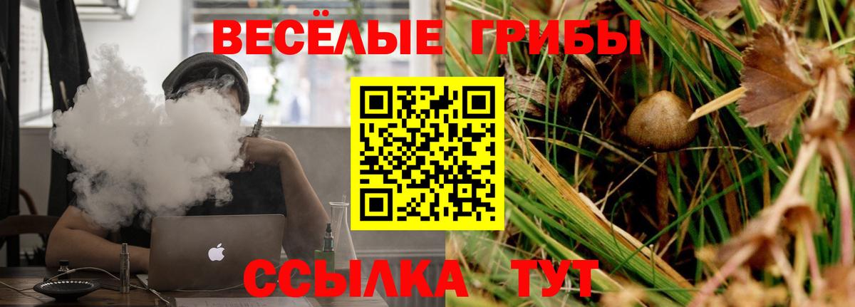 Кунгур  где купить наркотик  Вход с VPN  Псилоцибиновые грибы мухоморы 
